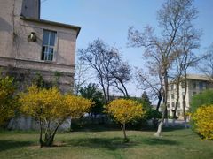 android_upload_pic-辽宁大学(崇山校区)