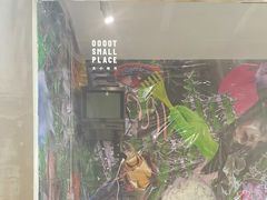 -大小咖啡 BigSmallCoffee(麦子店)