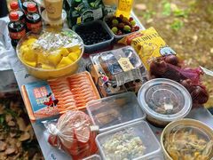 -上海海湾国家森林公园