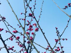 -四川宋瓷博物馆