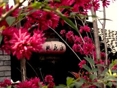 -渭南桃花源民俗文化园