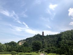 -南沙蒲洲花园