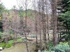 -云溪植物园