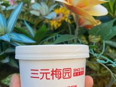 -三元梅园(前门店)