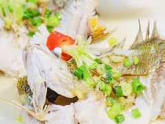 -有腥气私房菜·寻味顺德