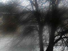 -维乐口腔医院(星海湾分院)