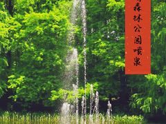 -上海共青森林公园