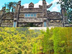 -鼎湖山风景区