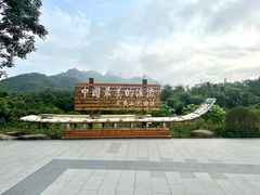 -九曲溪