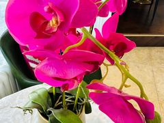 -花舍·新派粤菜·西餐·下午茶(亚运村·鸟巢店)