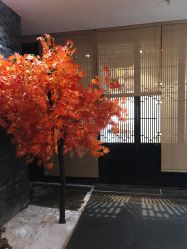 -盘子女人坊古装写真摄影(厦门总店)