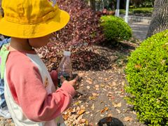 -豆初托育园 Baby Bean Day care Center