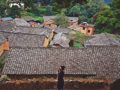 -杨家堂村