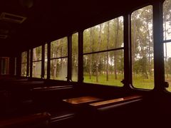 -合肥滨湖国家森林公园