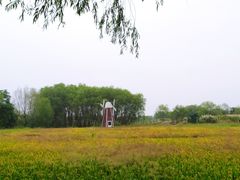 -长兴太湖图影湿地文化园