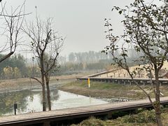 -东郊湿地公园