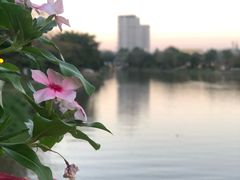 -瓦洛洛传统市场