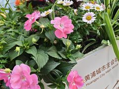 -上海市长春食品商店(淮海中路店)