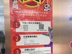 -pd派德宠物中心医院24H急重症·眼科中心·血液透析中心(嵩山北路店)