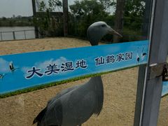 -盐城丹顶鹤湿地生态旅游区