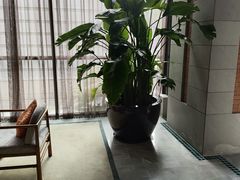 -浅深Cheersum(曹杨店)