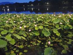 -湘湖大院(越王路店)