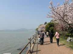 -无锡蠡湖国家湿地公园-蠡园