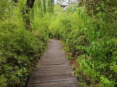 -白浪绿洲湿地公园