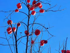 -东亿天弘演播大厅