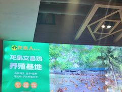 -龙泉人椰子鸡.糟粕醋.海南菜(三亚旗舰店)