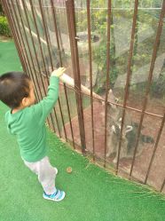 -萌宠亲子动物乐园(槐房万达店)