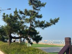 -日照海滨国家森林公园