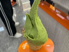 -野人先生现做冰淇淋(西安赛格店)