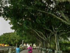 -黄埔古港