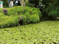 -上海醉白池公园