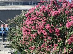 -杭州城北体育公园