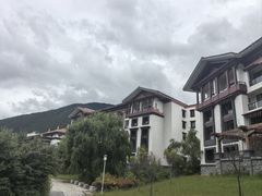 -林芝工布庄园希尔顿酒店-猎味中餐厅