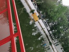 -向外鱼乐·土菜·虹鳟鱼