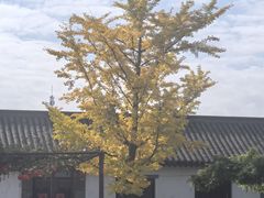 -牟氏庄园
