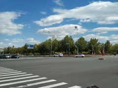 -小李烧鸡(西北角总店)