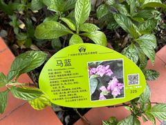 -广州神农草堂中医药博物馆