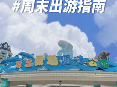 -海合安成都极地海洋公园