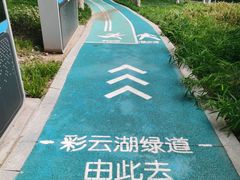 -重庆彩云湖湿地公园