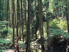 -山王坪喀斯特国家生态公园