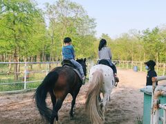 -上海海湾国家森林公园