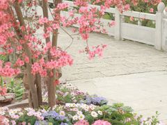 -苏州上方山国家森林公园