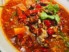 -辛香汇·现炒川菜(淮海路百盛店)