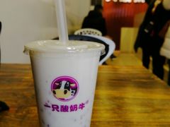 -秦云老太婆摊摊面(磁器口店)