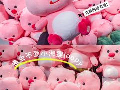 -万达广场(泰安泰山店)