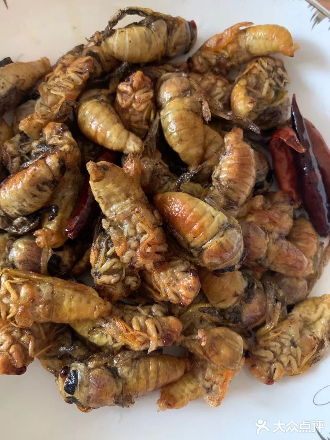 美食  |  见过的、吃过的～请举手🙋🏻‍♂️🙋🏻‍♂️🙋🏻‍♂️